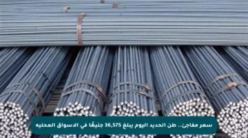 سعر مفاجئ.. طن الحديد اليوم يبلغ 36,575 جنيهًا في الأسواق المحلية